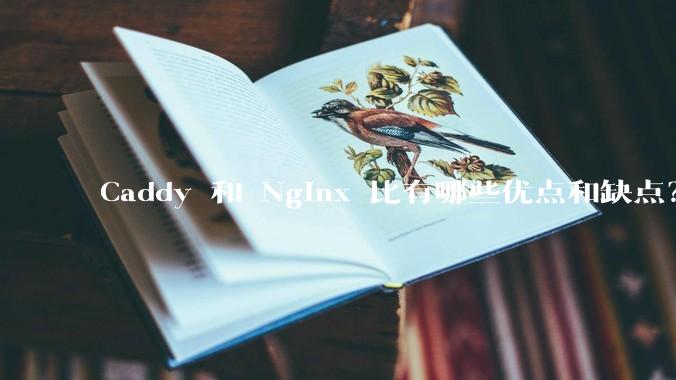 Caddy 和 Nginx 比有哪些优点和缺点？